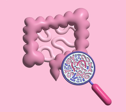 5 Common Mistakes To Avoid During SIBO Die Off Recovery