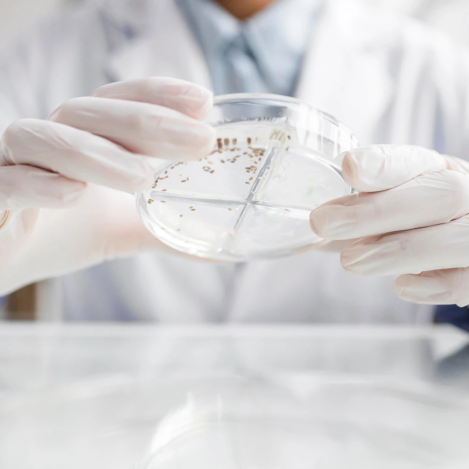 Bacterial Vaginosis (BV) Support