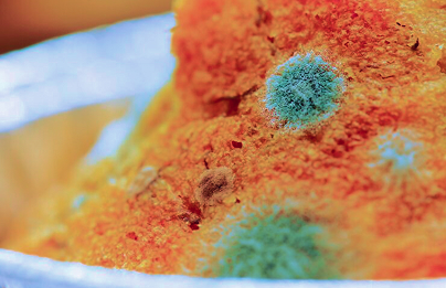 eboo treatment atlanta